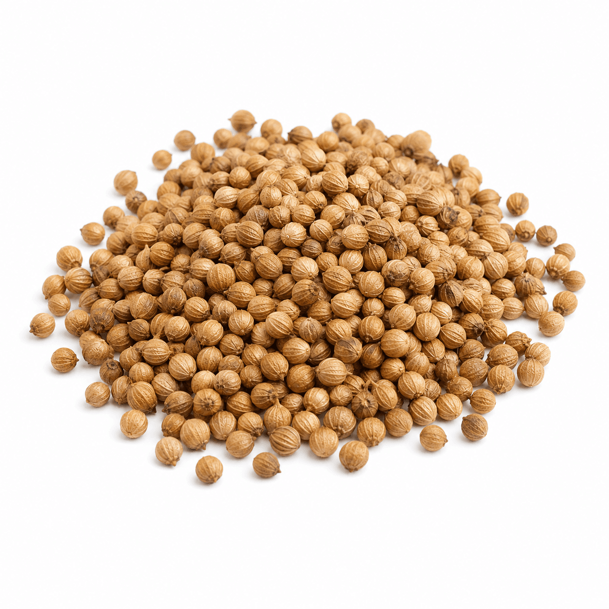 Coriander Seeds