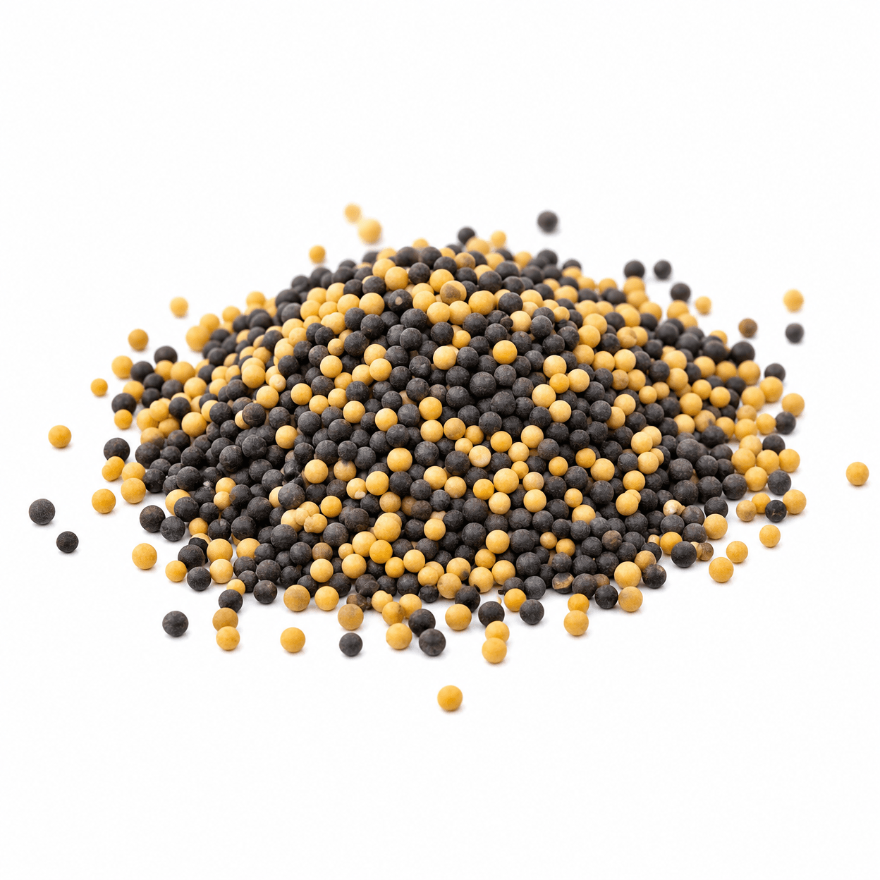Mustard Seeds