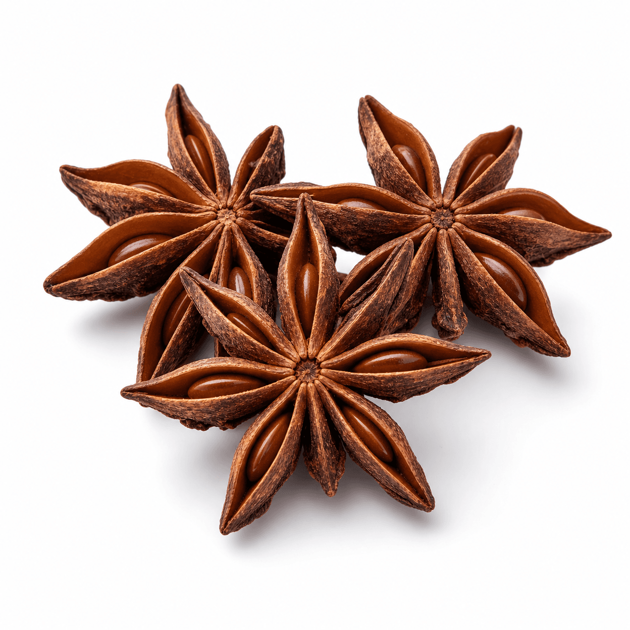 Star Anise
