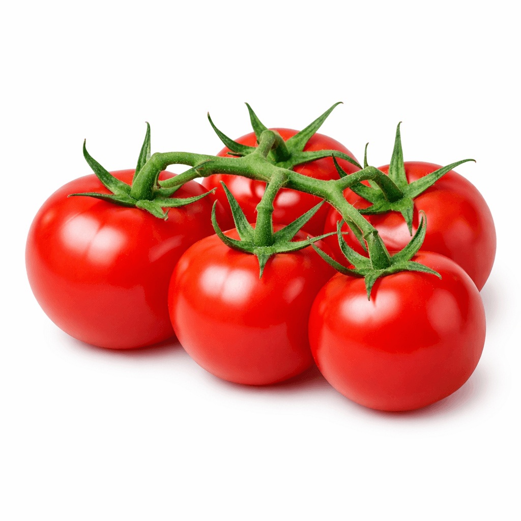Fresh Tomato